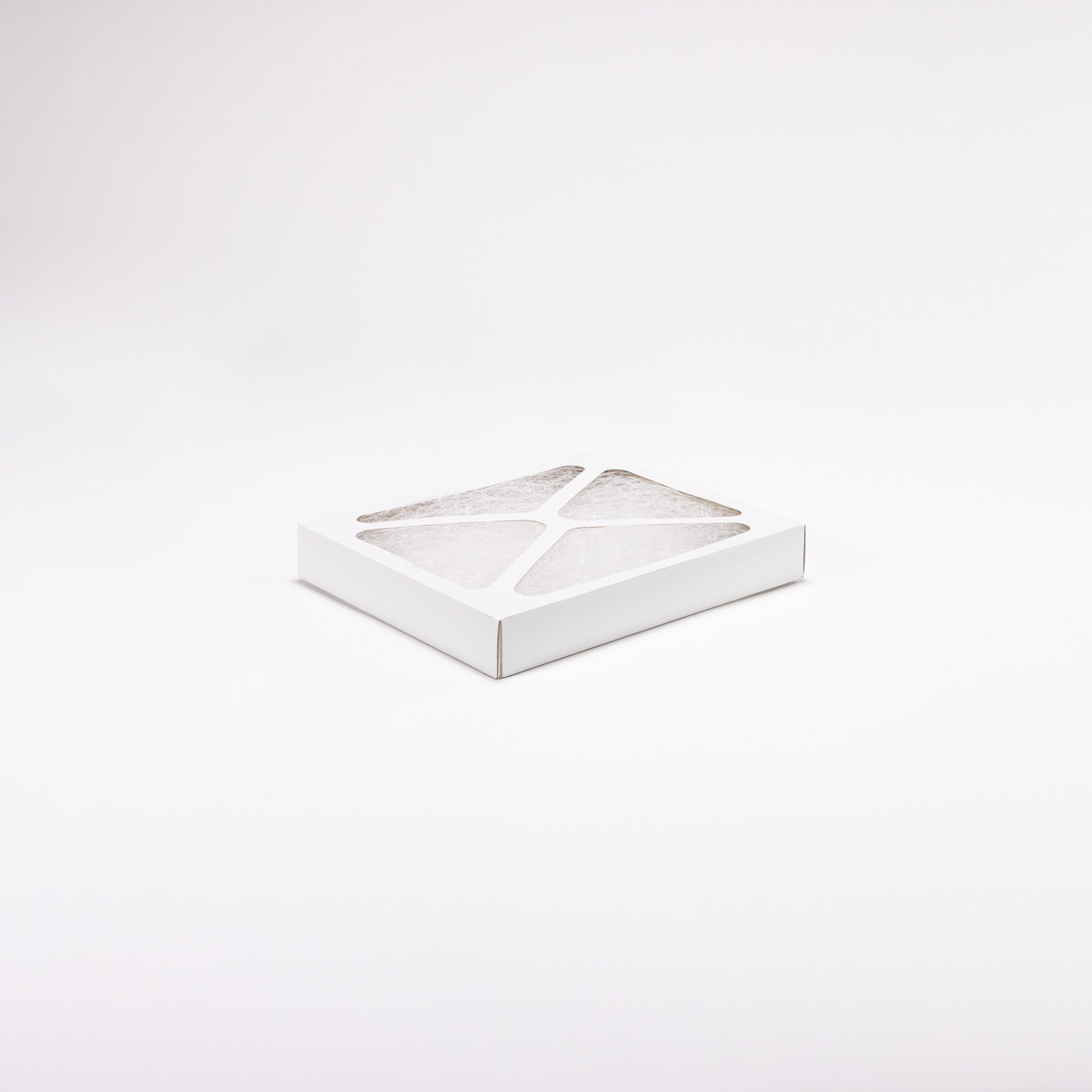 Air filter cell 304 x 250 x 45