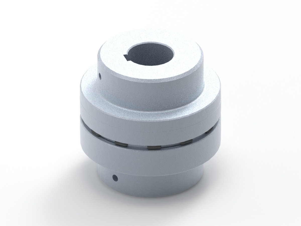 Acoplamiento Poly-Norm AR 60 D55/D32